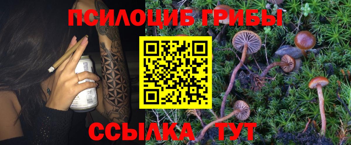 Псилоцибиновые грибы Psilocybine cubensis  Псилоцибиновые грибы MAGIC MUSHROOMS  Североморск  Вход с VPN 
